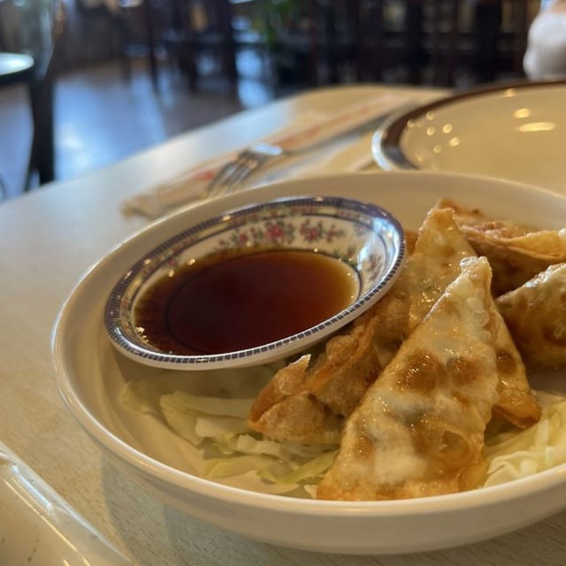 Deep Fried Veggie Potstickers.